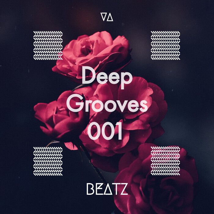VA - Deep Grooves 001 [BTZ150]